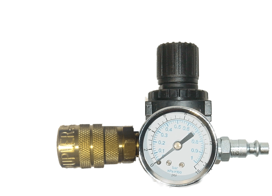 Custom Multi-Pump Single Adapter with Regulator Image